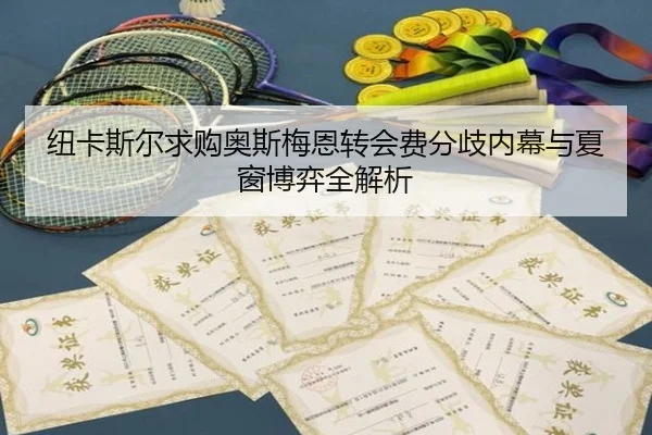 纽卡斯尔求购奥斯梅恩转会费分歧内幕与夏窗博弈全解析